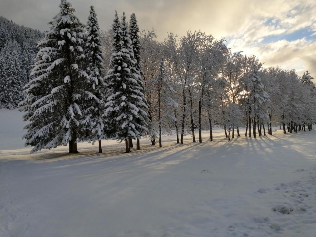 شقة Alpenlandhof باد كلينكيرشهايم المظهر الخارجي الصورة